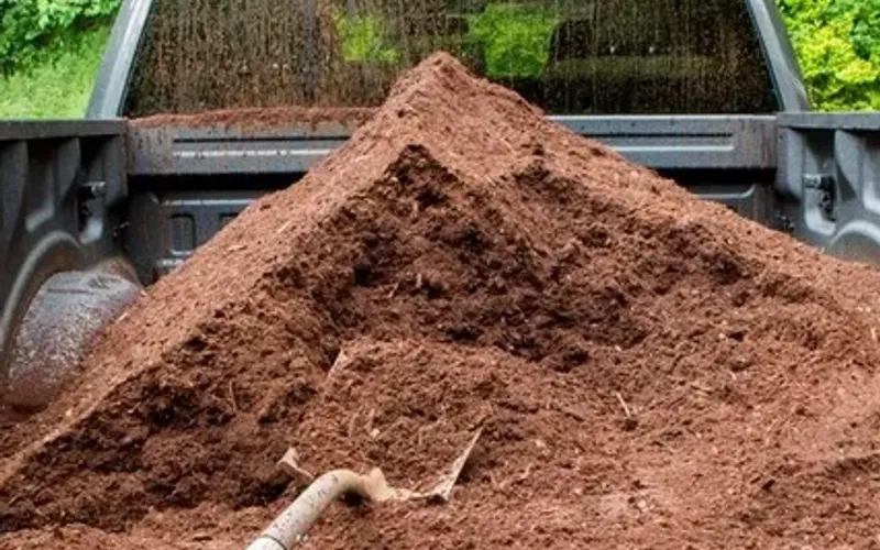 Maldonado Nursery -Stone- Soil- Landscaping- Irrigation — Plant nursery