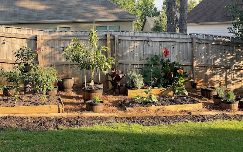 Pro Tree, INC. — Tree service