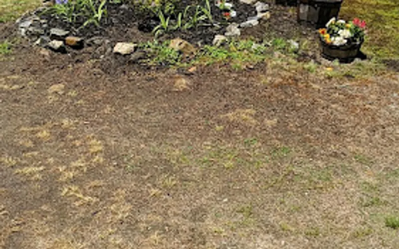 Salt Box Nursery — Landscaper