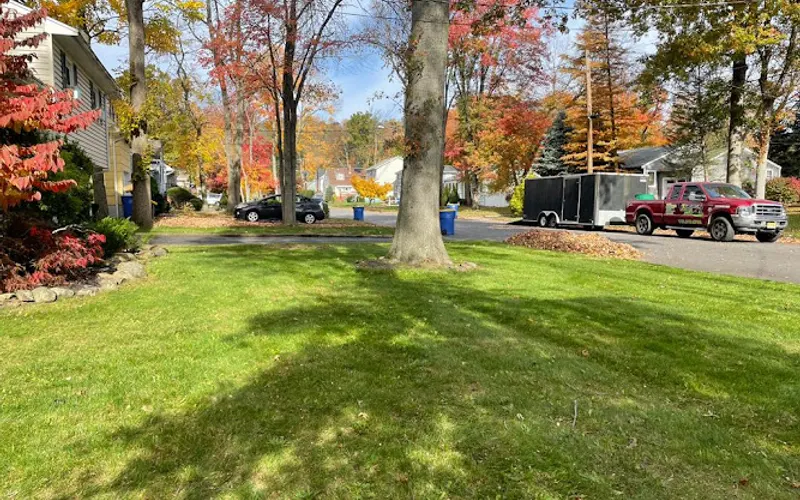 New Sunrise Lawn Care Llc — Lawn care service
