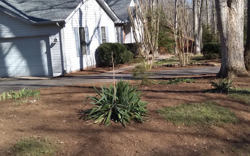 B&B Landscaping & Handyman Services — Contractor