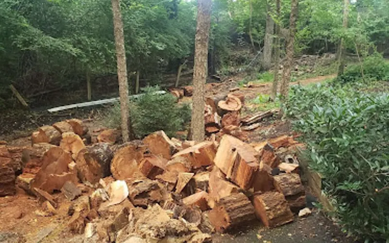 Cut Rate Hauling Trash & Junk Removal — Debris removal service