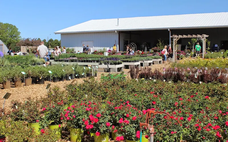 Steinbrink Landscaping and Greenhouses — Garden center