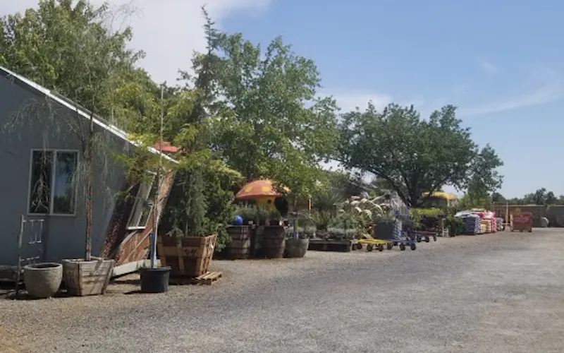 Magnolia Gift & Garden — Garden center