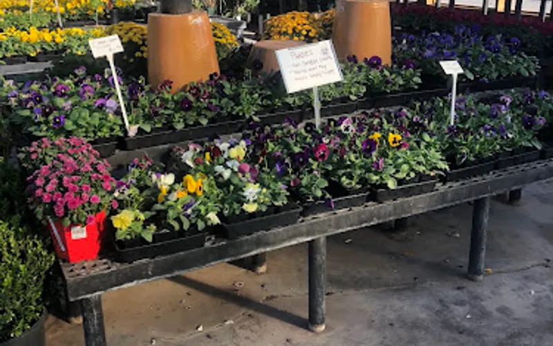 Little Red Nursery — Garden center