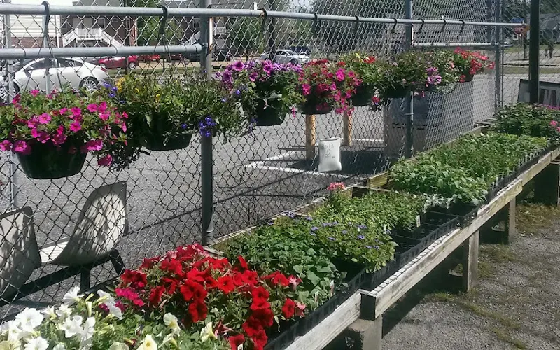 Tom's Green Thumb — Garden center