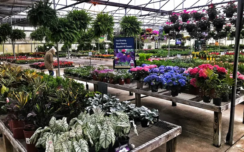 Family Roots Nursery — Greenhouse