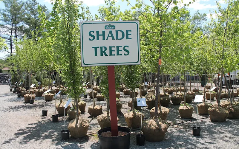 The Siebenthaler Company — Garden center