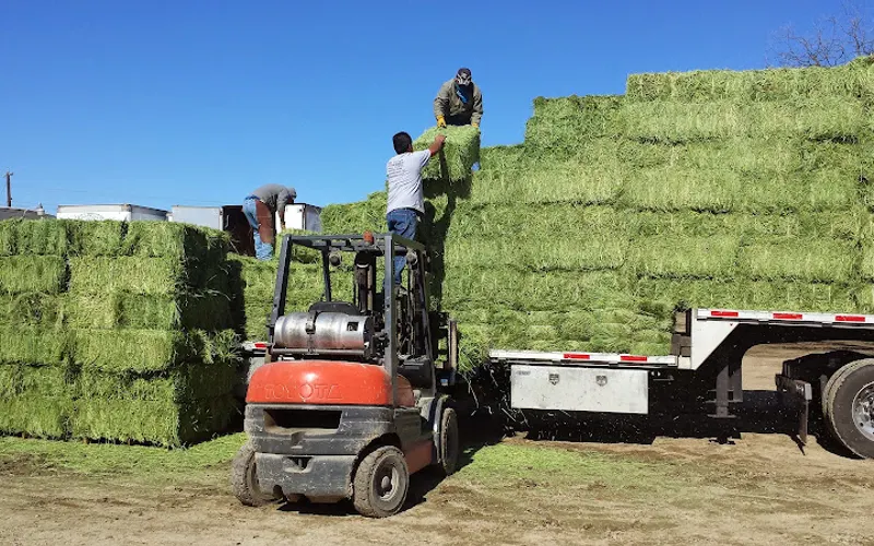 D & L Farm and Home - Denton — Garden center