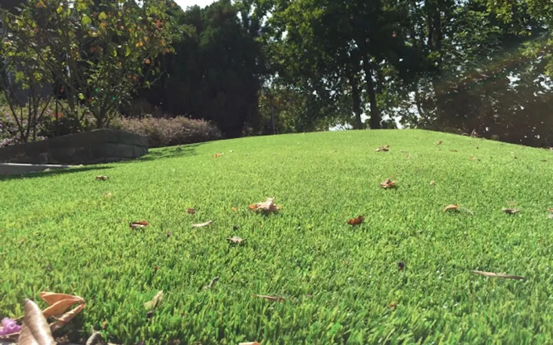 Purchase Green Artificial Grass — Turf supplier