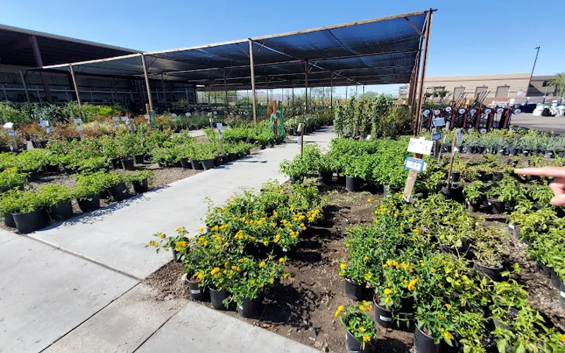 Star Nursery Garden and Rock Centers — Garden center