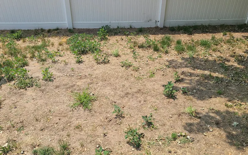 Kevin's Lawn Care & Snow Removal Inc. — Landscaper
