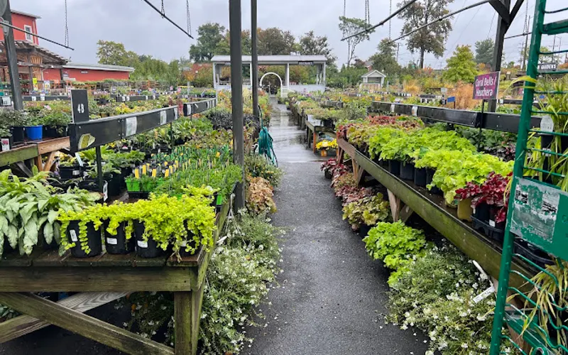 Merrifield Garden Center — Landscaper