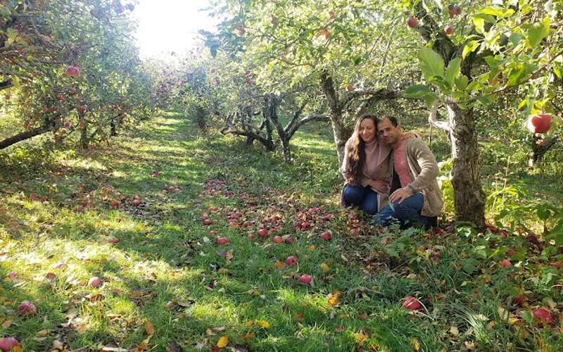 Sleepy Hills Orchard — Farm
