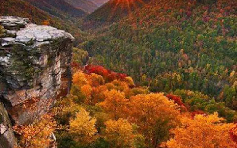 Rocky Mountain Soils Inc — Topsoil supplier