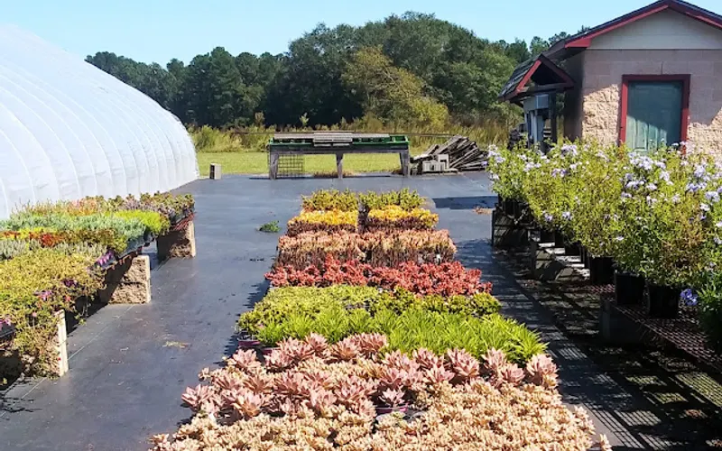 Click’s Nursery & Greenhouse — Garden center