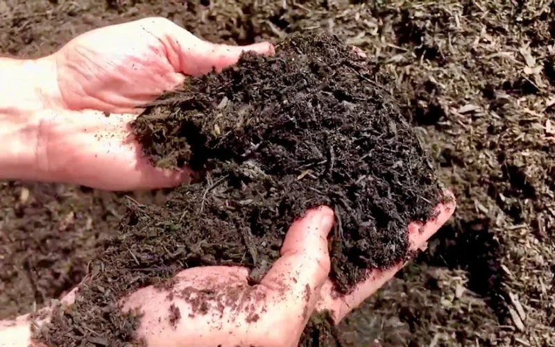 All Cape Recycling — Mulch supplier