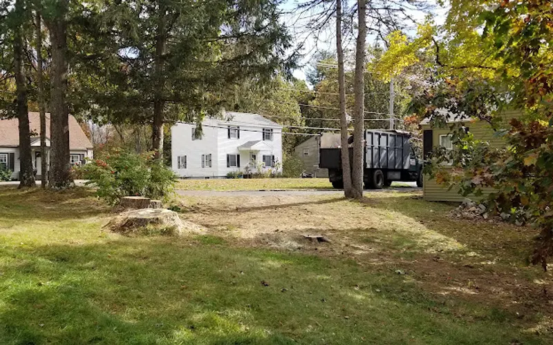 Aspen Tree Service — Tree service