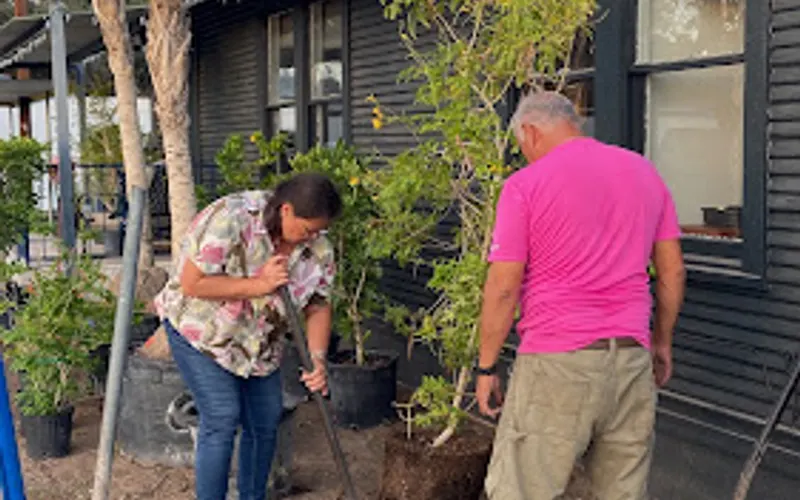 A Garden Center Inc. #2 — Centro de jardinería