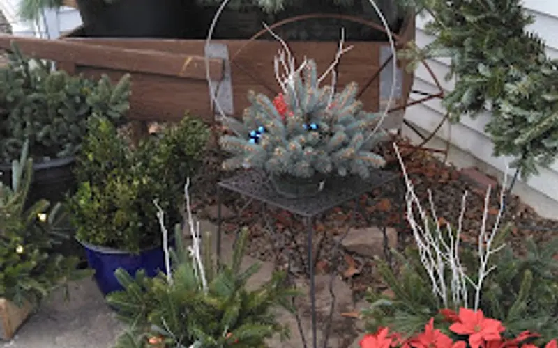 Rogers' Nursery — Plant nursery