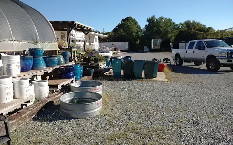 Country Farm & Home — Farm shop