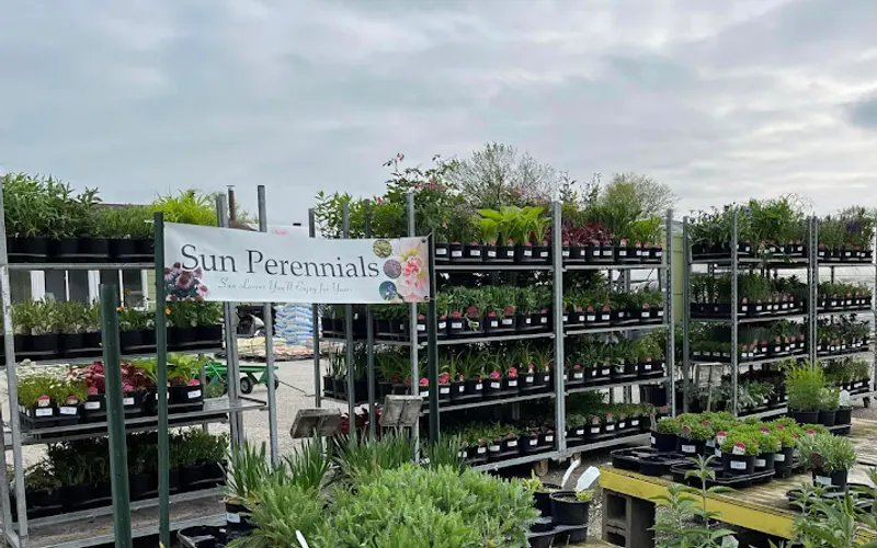 Action Garden Center, And Greenhouse. — Garden center