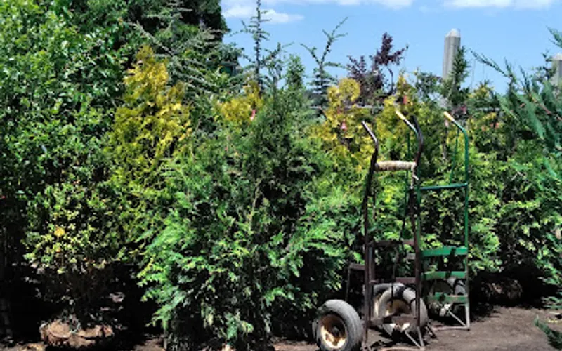 Montemarano Garden Center & Equipment — Landscaping supply store