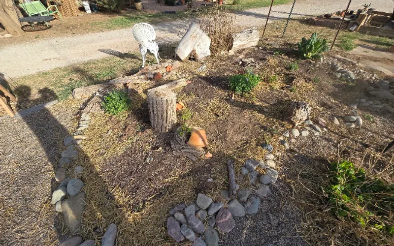 Petals and Fins — Garden center