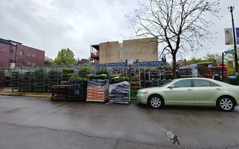 Adams & Son & Daughter Gardens — Garden center