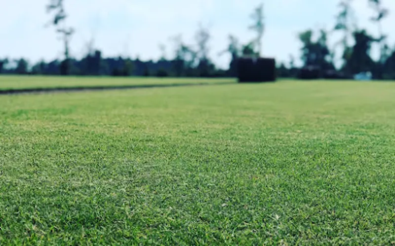 S&R Turf & Irrigation Equipment — Sod supplier