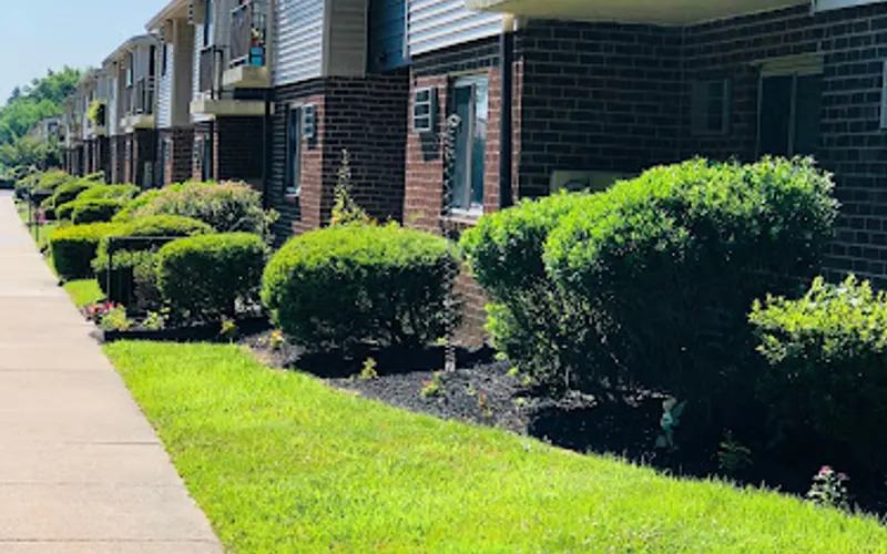 DeMasi's Landscape Services — Landscaper