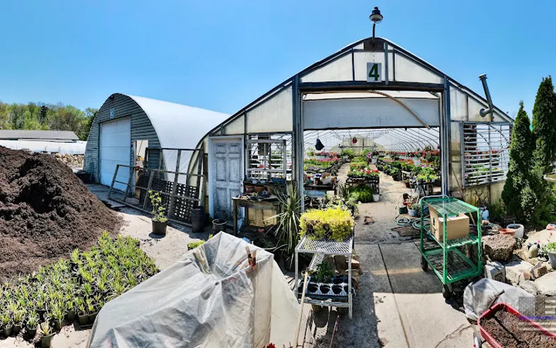 Greens & Things Nursery — Plant nursery