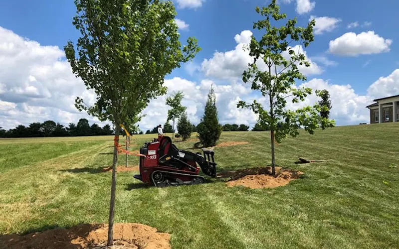 Green Code Landscaping & House Maintenance LLC — Lawn care service