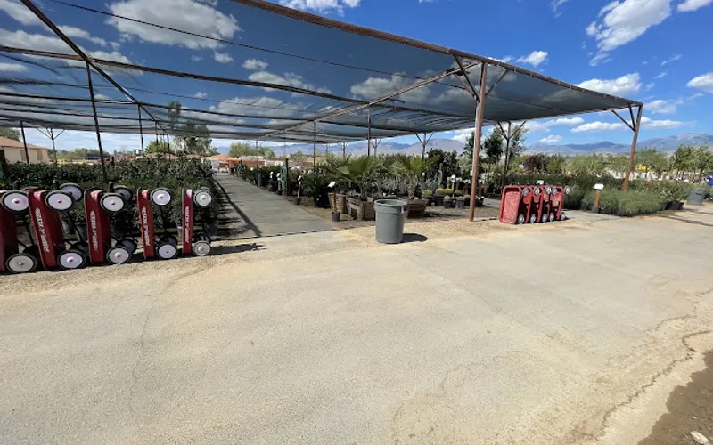 Star Nursery Garden and Rock Centers — Garden center
