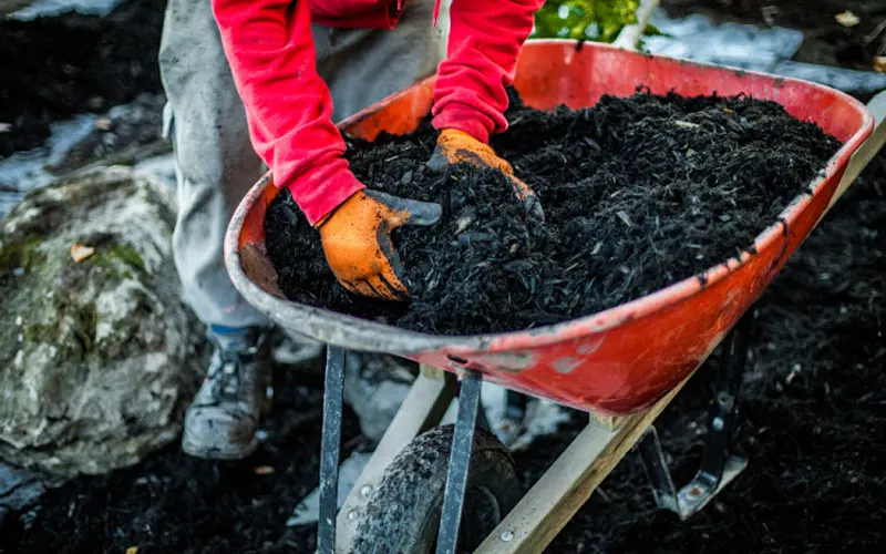 Mulch N More, Inc. — Landscaper