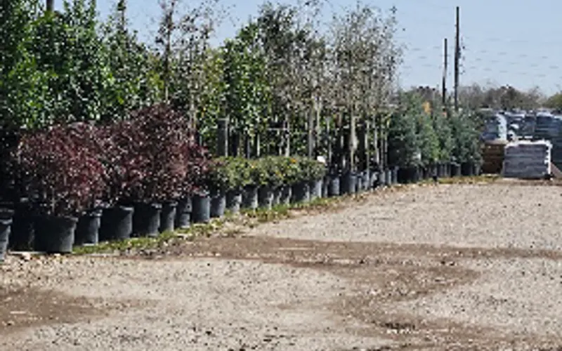 Cypress Nursery & Landscaping Supplies — Landscaping supply store