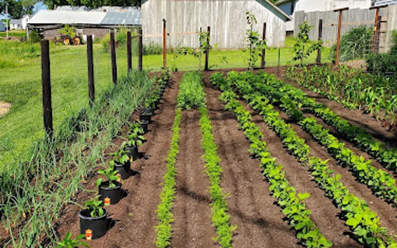 Davenport Compost Facility — Mulch supplier