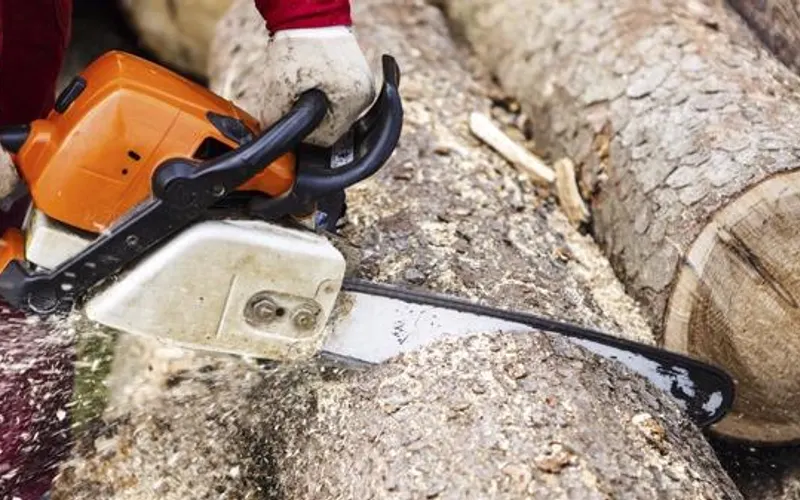 Pittsburgh Lumberjack Tree Service — Tree service