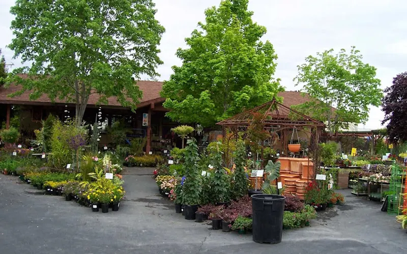Evergreen Garden Center Inc. — Garden center