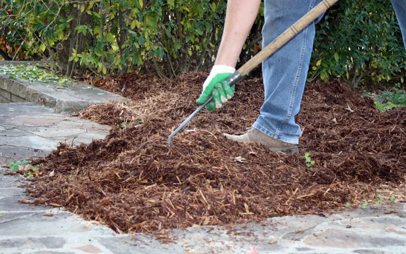 greenleaflawnandlandscaping — Lawn care service