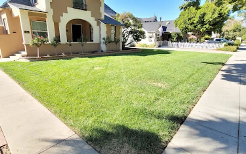 Lorenzo's Tree Service — Servicios de mantenimiento arbóreo