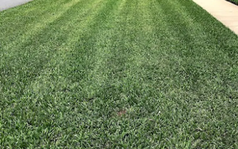 Miguel's Landscape & Maintenance LLC — Landscaper