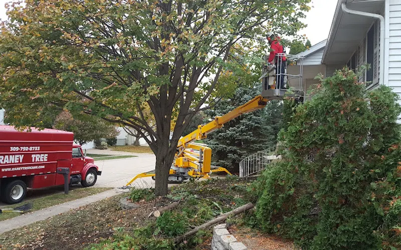 Raney Tree Care — Mulch supplier