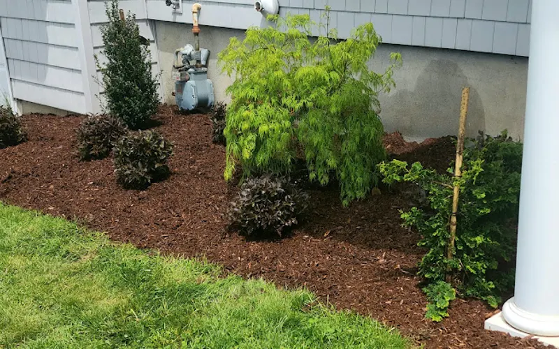 Van Wilgen's Garden Center — Garden center