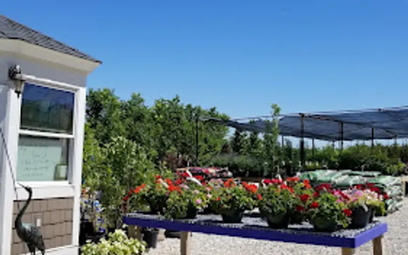 Breezy Hill Nursery of Menomonee Falls — Plant nursery