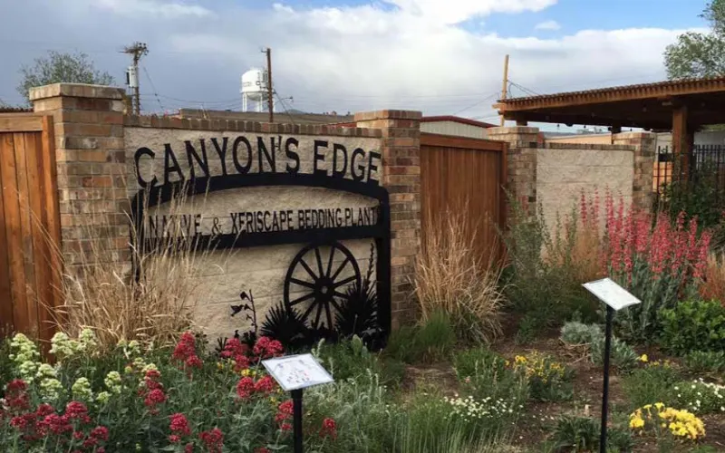Canyon's Edge Plants — Garden center
