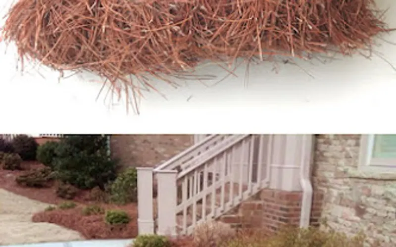 DISCOUNT PINE STRAW — Landscaping supply store