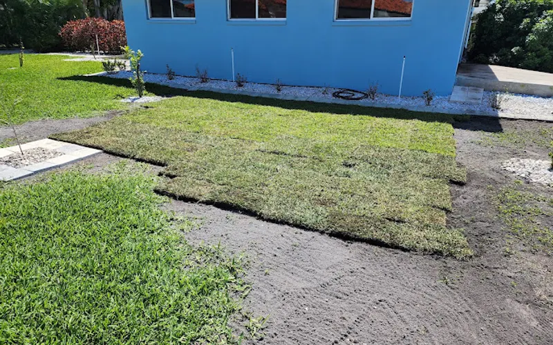 Mc Coy Sod & Tree Services — Sod supplier