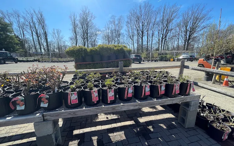 Sam Bridge Nursery & Greenhouses — Landscaper
