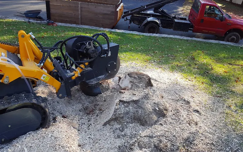 New England Landscapes LLC — Landscaper